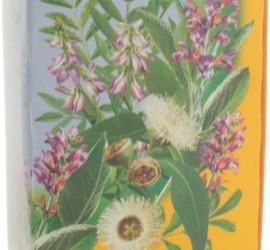 Элекасол (Elecasol)