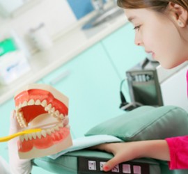 Материальная база профилактики