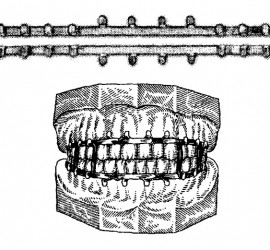 Шина Васильева