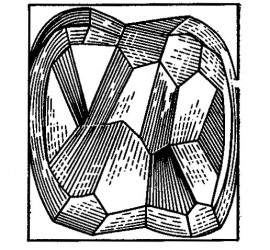 Схема бугров жевательной поверхности первого моляра верхней челюсти.