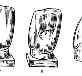 Центральные резцы нижней челюсти