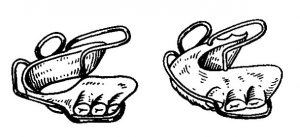 Бионатор Бальтерса