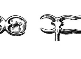 Кламмер Бонвиля