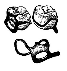 Кламмер перекидной Джексона