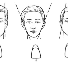 Типы лица и соответствующие им формы зубов