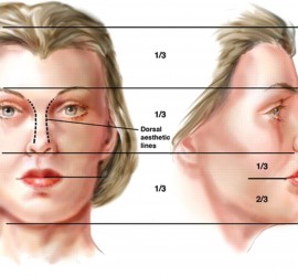 Окклюзионная высота нижней трети лица
