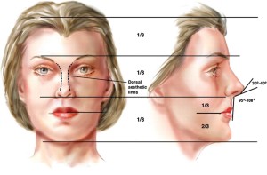 Окклюзионная высота нижней трети лица