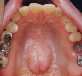 Торус небный