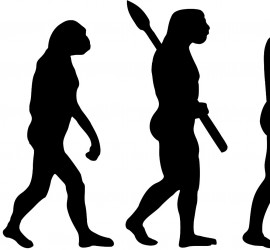 Эволюция стоматолога