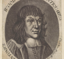 Antonius Wood