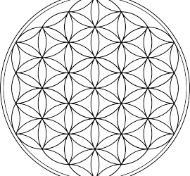 Цветок жизни