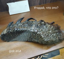 Зуб мамонта