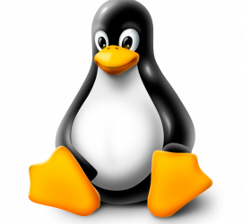 Linux
