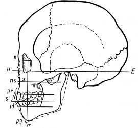 Франкфуртская горизонталь