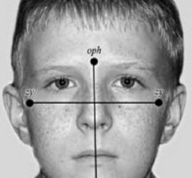 Индекс Изара